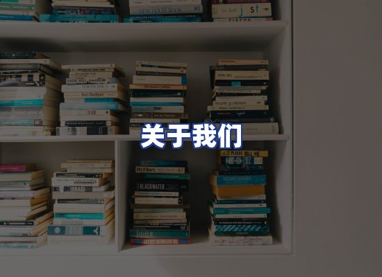 专业团队